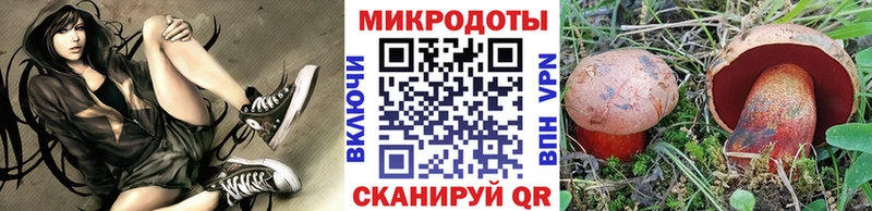 магазин продажи   Новокубанск  Псилоцибиновые грибы прущие грибы 
